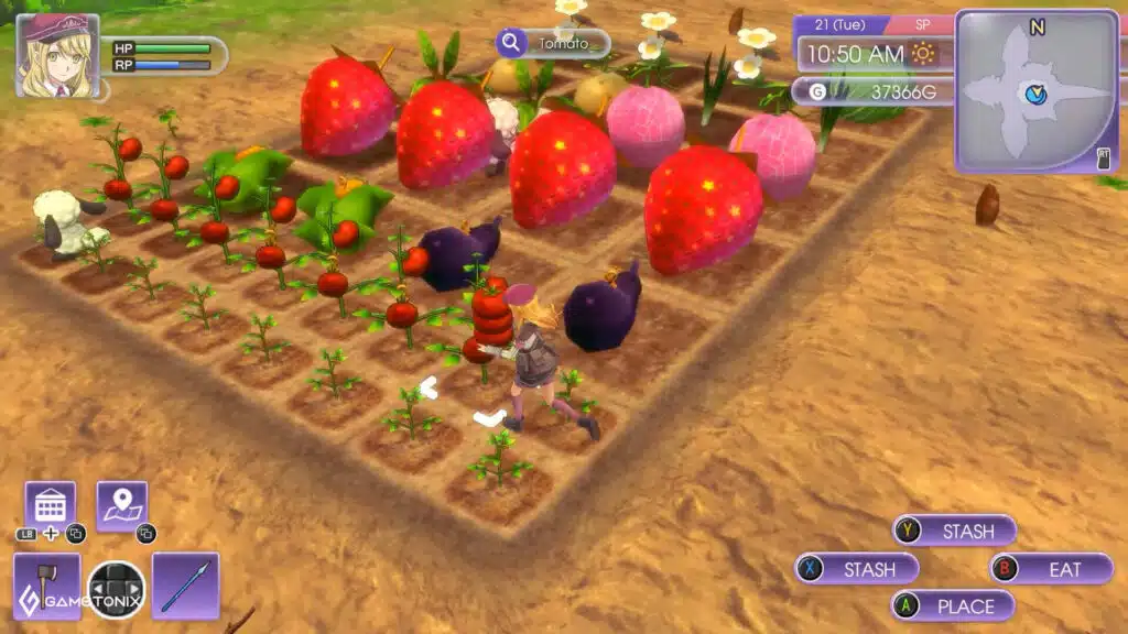 Rune Factory 5 Farming