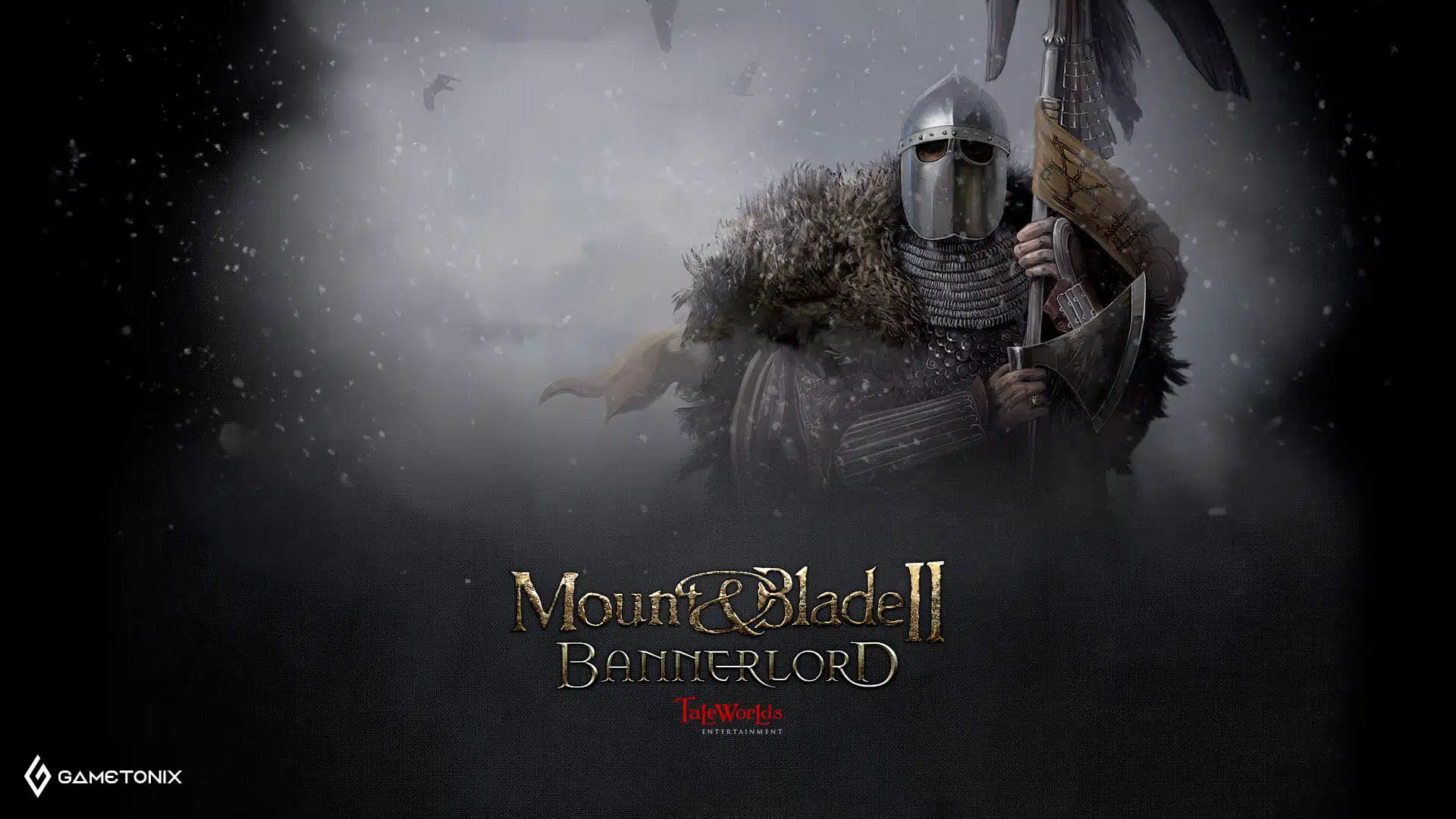 Mount and blade 2