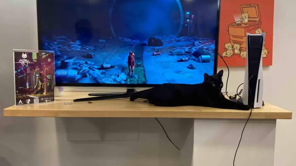 Stray-Meow Parlour-PS5