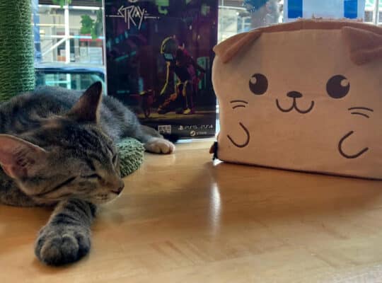 Stray-Meow Parlour