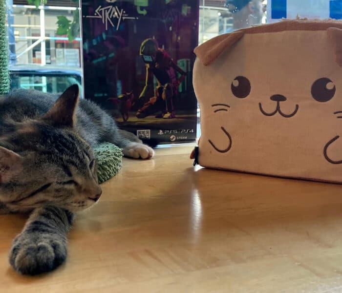 Stray-Meow Parlour