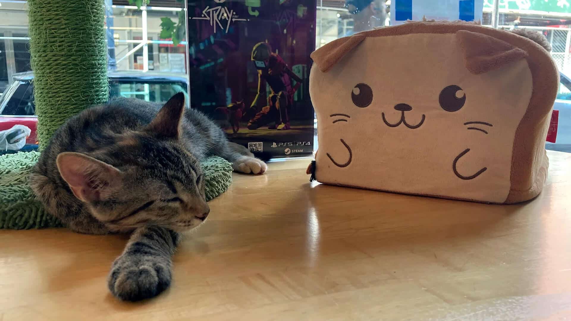 Stray-Meow Parlour