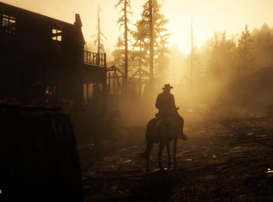 rdr24