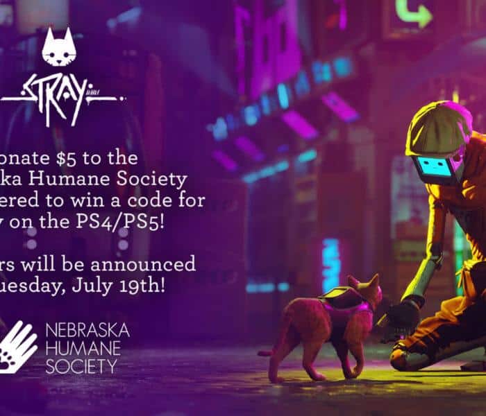 stray nebraska 1