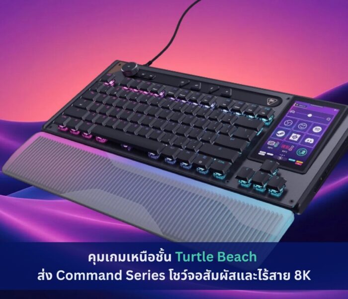 Turtle Beach