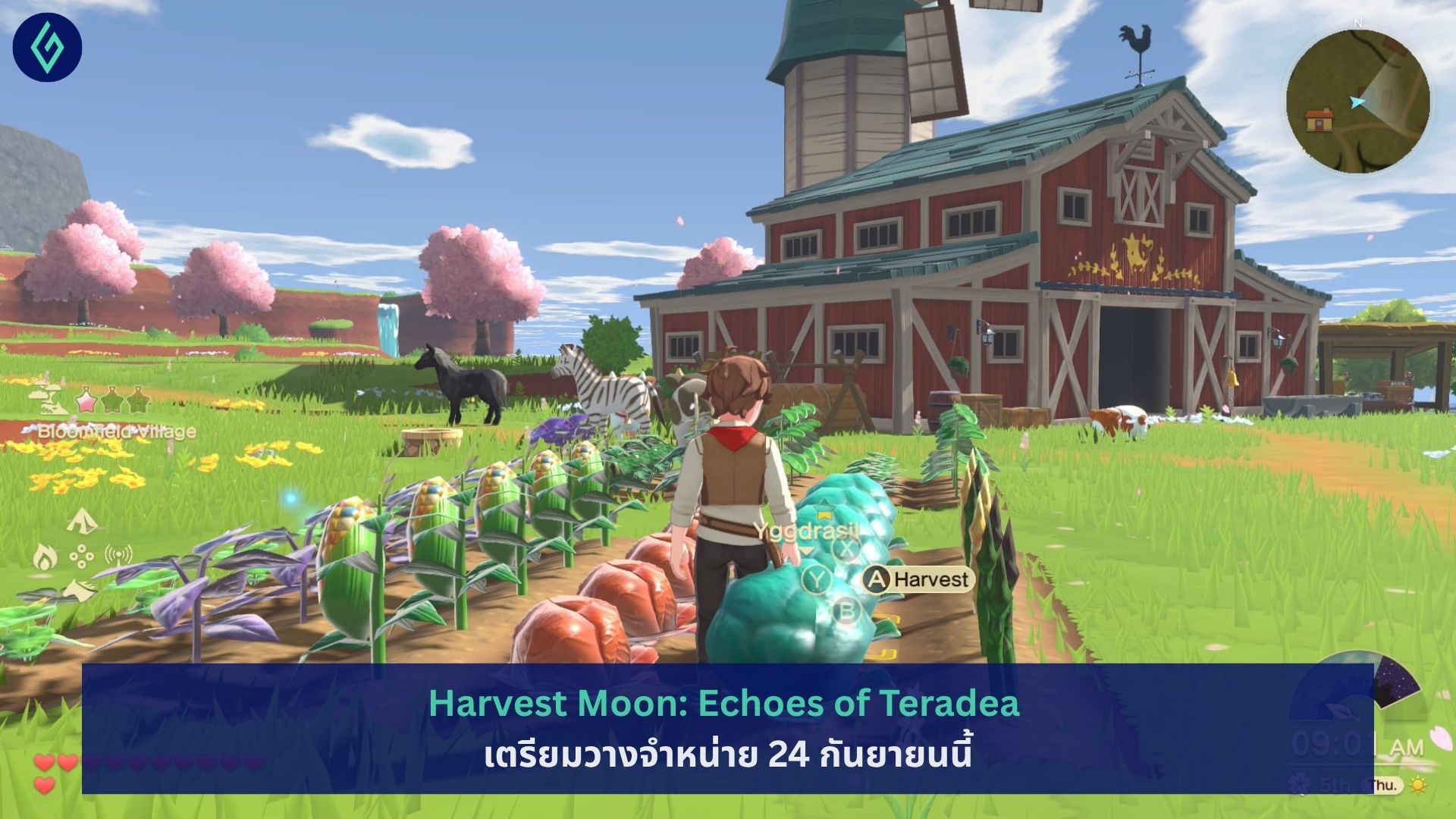 Harvest Moon