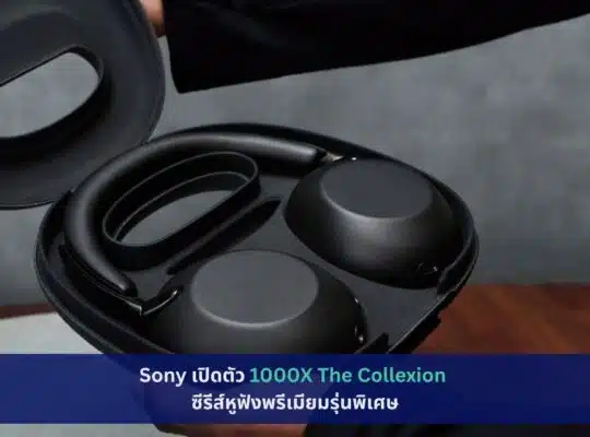 1000X The Collexion