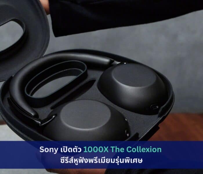 1000X The Collexion