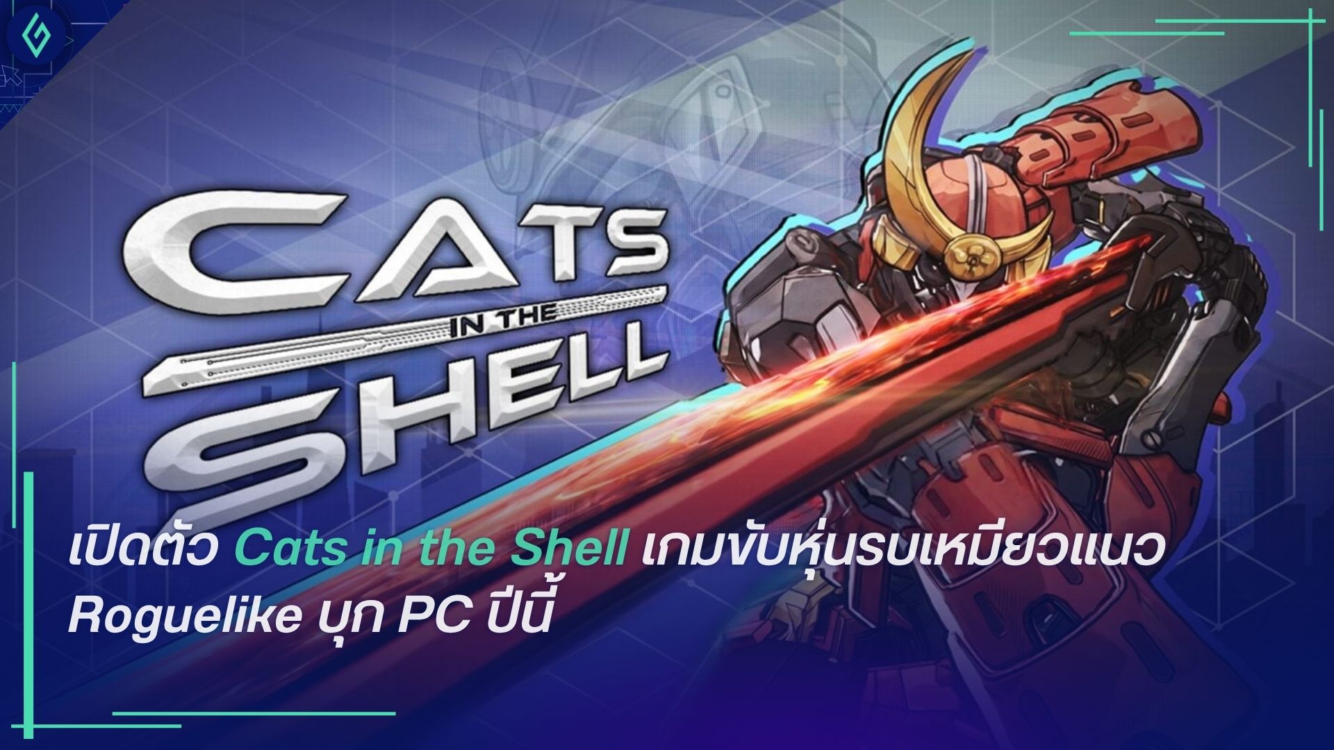 Cats in the Shell